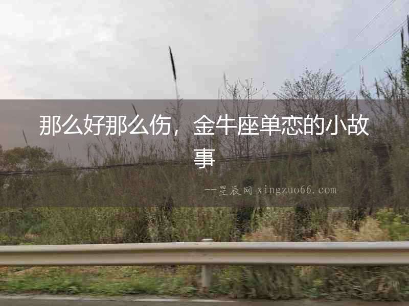 那么好那么傷，金牛座單戀的小故事