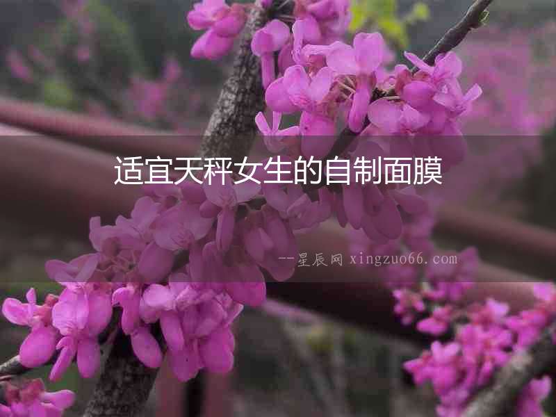 適宜天秤女生的自制面膜