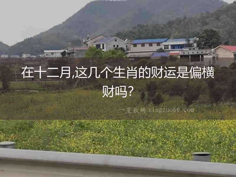 在十二月,這幾個生肖的財運是偏橫財嗎？