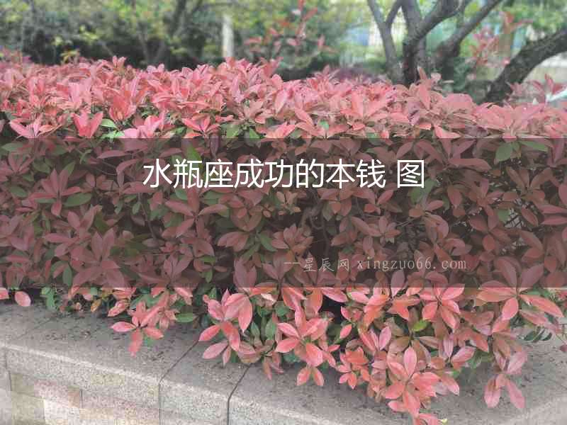 水瓶座成功的本錢 圖