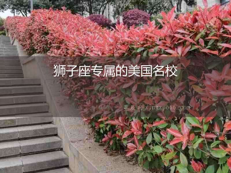 獅子座專屬的美國(guó)名校