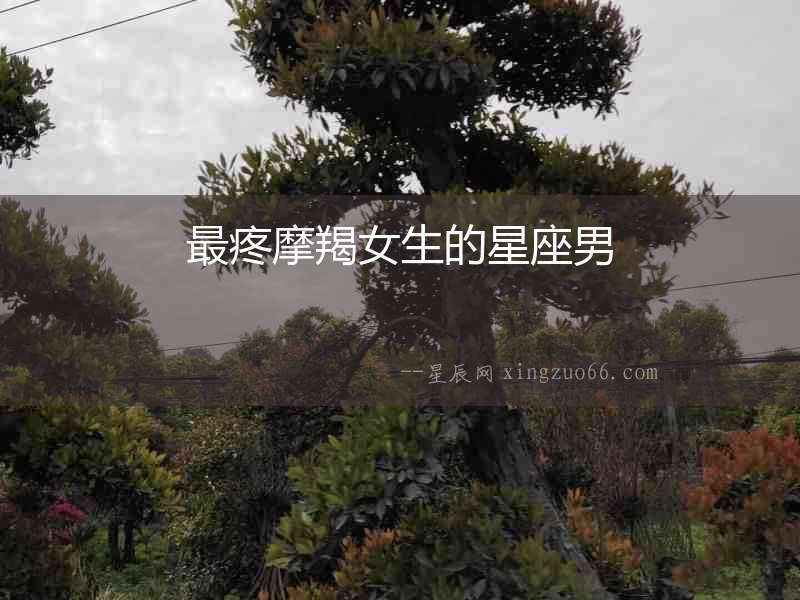 最疼摩羯女生的星座男