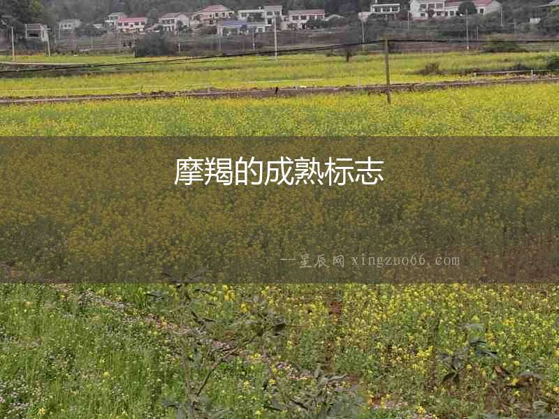 摩羯的成熟標(biāo)志