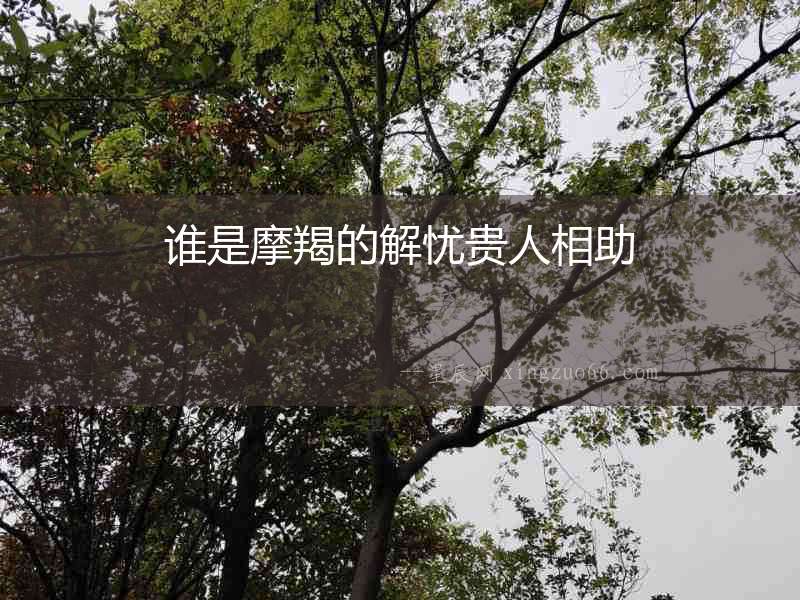 誰是摩羯的解憂貴人相助