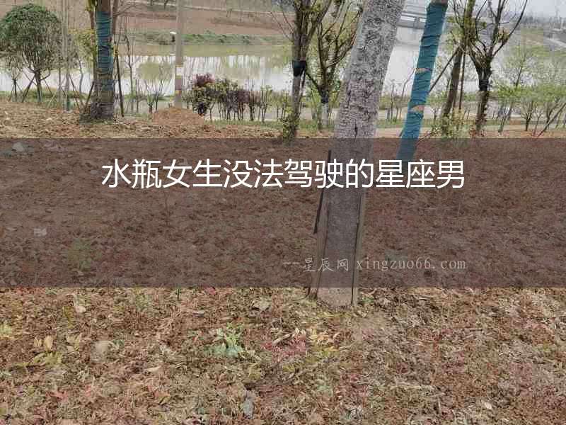 水瓶女生沒法駕駛的星座男