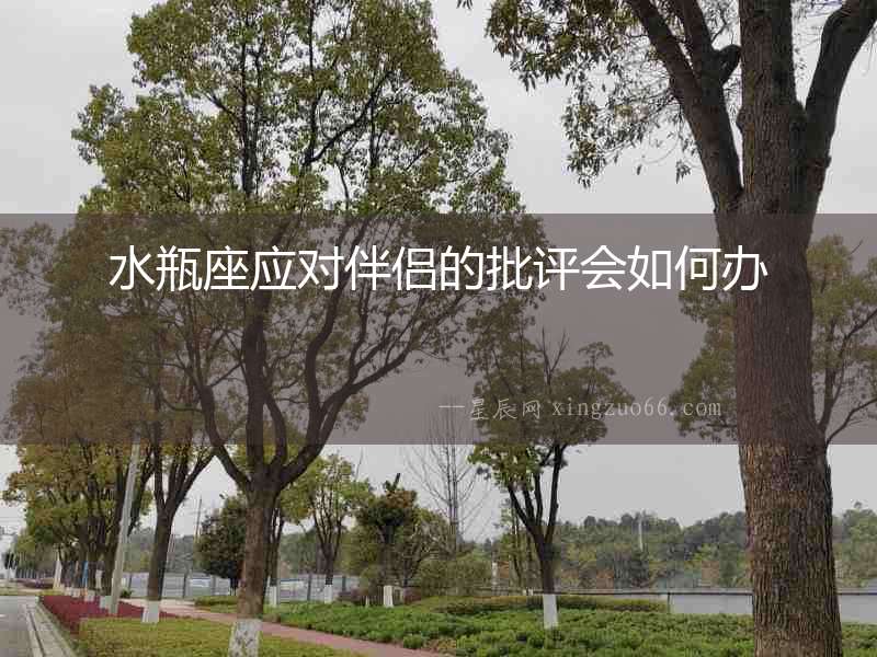 水瓶座應(yīng)對伴侶的批評會如何辦