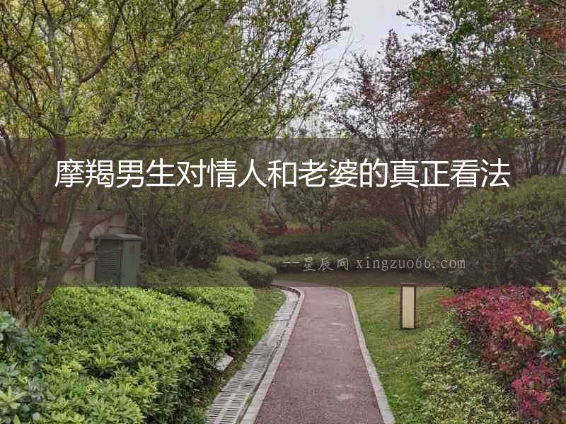 摩羯男生對情人和老婆的真正看法