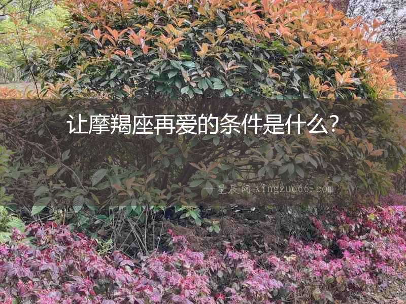 讓摩羯座再愛的條件是什么？