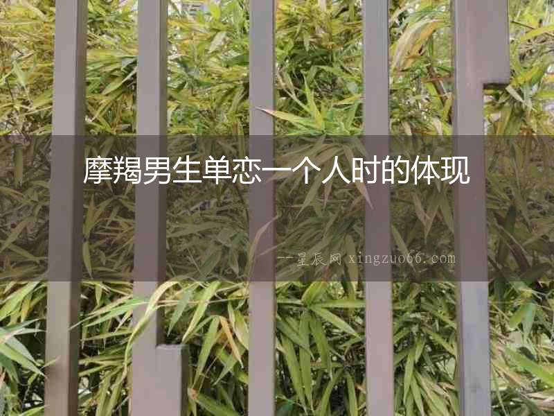 摩羯男生單戀一個(gè)人時(shí)的體現(xiàn)