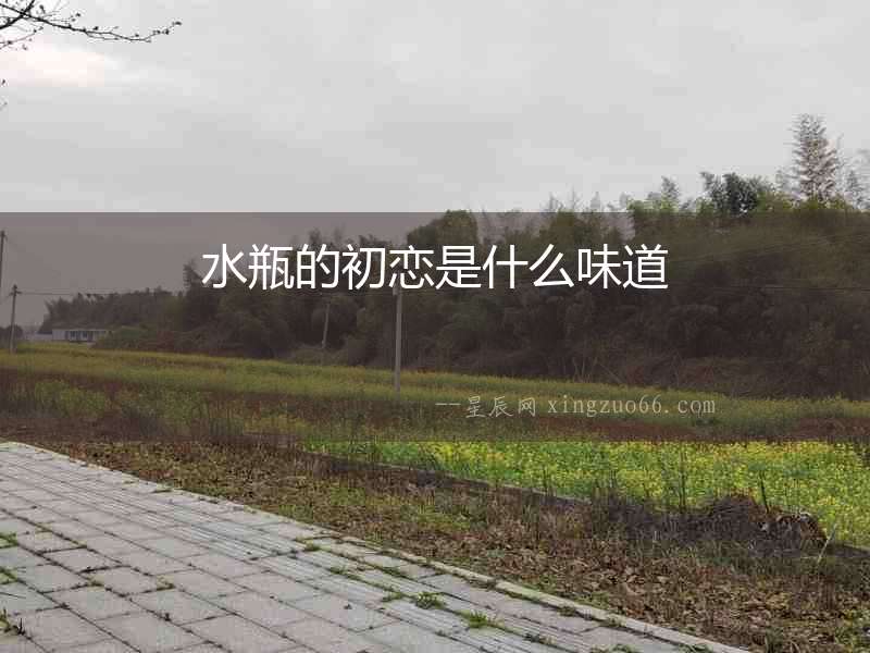 水瓶的初戀是什么味道
