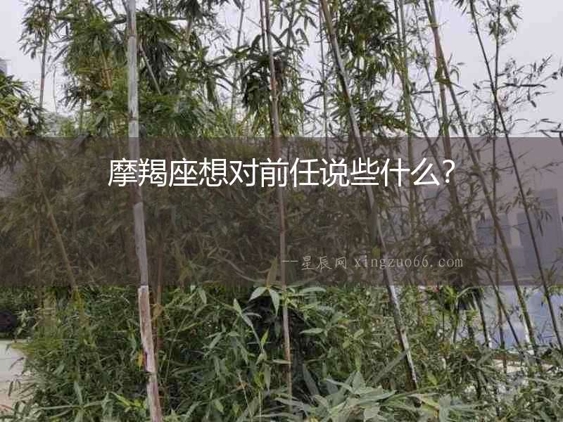 摩羯座想對前任說些什么？