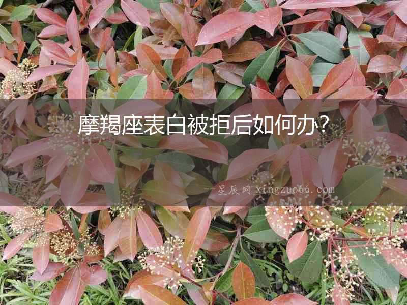摩羯座表白被拒后如何辦？