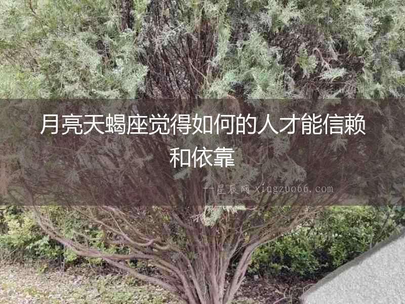 月亮天蝎座覺得如何的人才能信賴和依靠