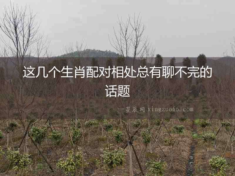 這幾個生肖配對相處總有聊不完的話題
