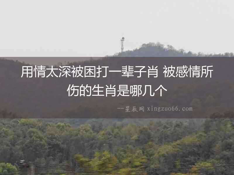 用情太深被困打一輩子肖 被感情所傷的生肖是哪幾個