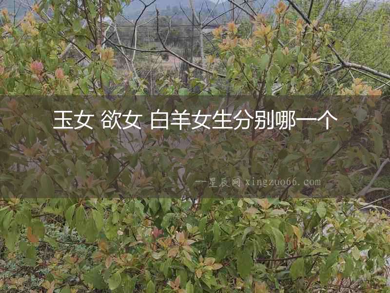 玉女 欲女 白羊女生分別哪一個