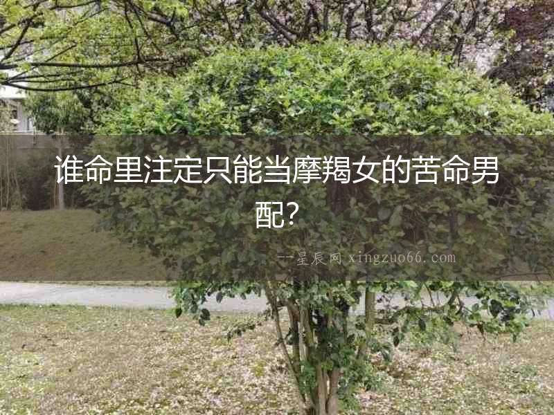 誰命里注定只能當摩羯女的苦命男配？