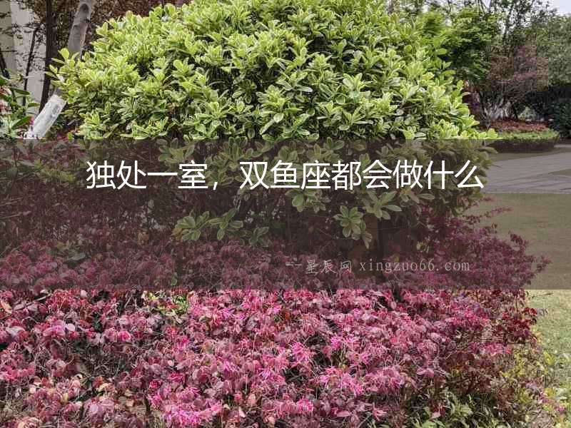 獨處一室，雙魚座都會做什么