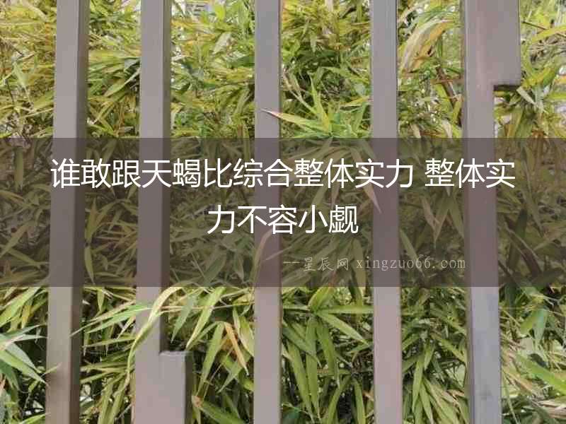 誰敢跟天蝎比綜合整體實力 整體實力不容小覷