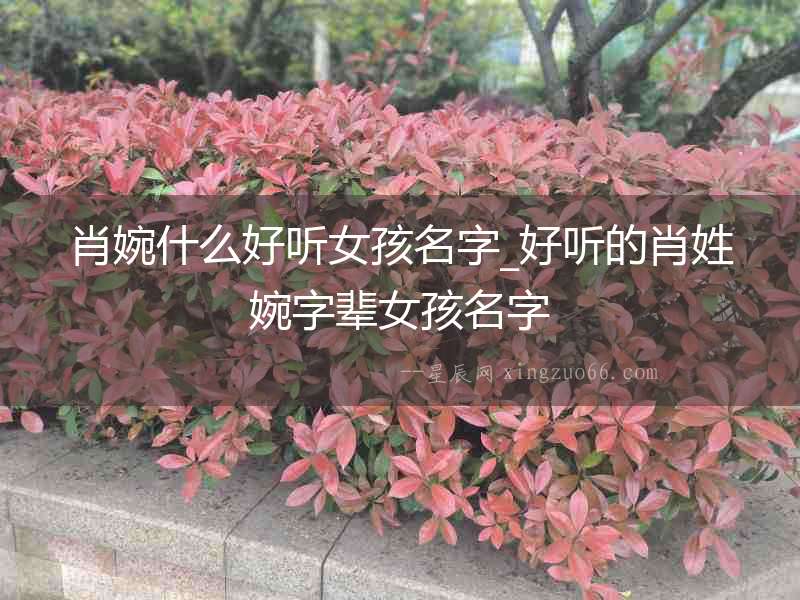 肖婉什么好聽女孩名字_好聽的肖姓婉字輩女孩名字