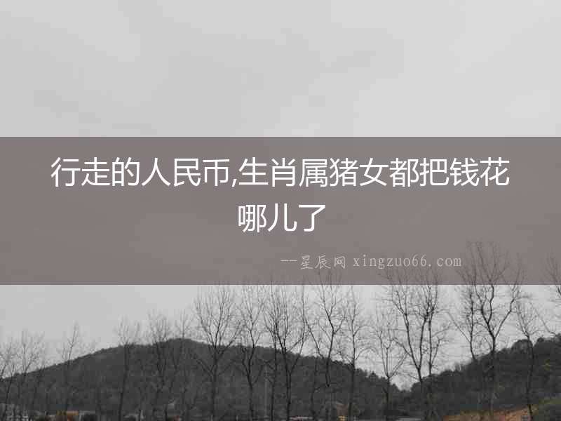 行走的人民幣,生肖屬豬女都把錢花哪兒了