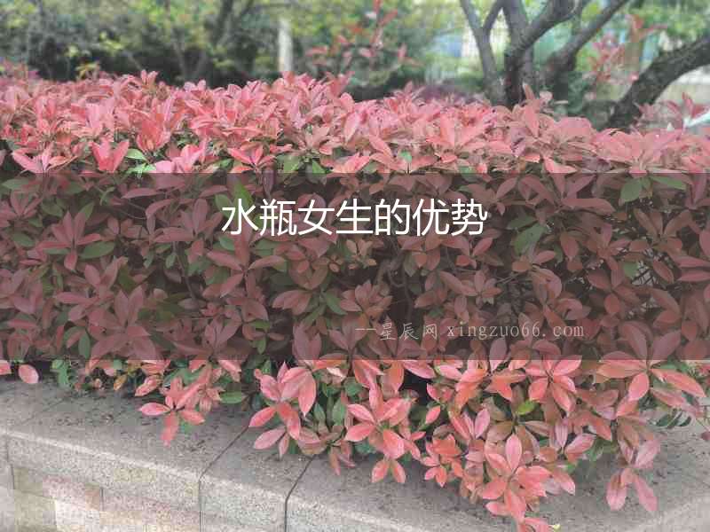 水瓶女生的優(yōu)勢