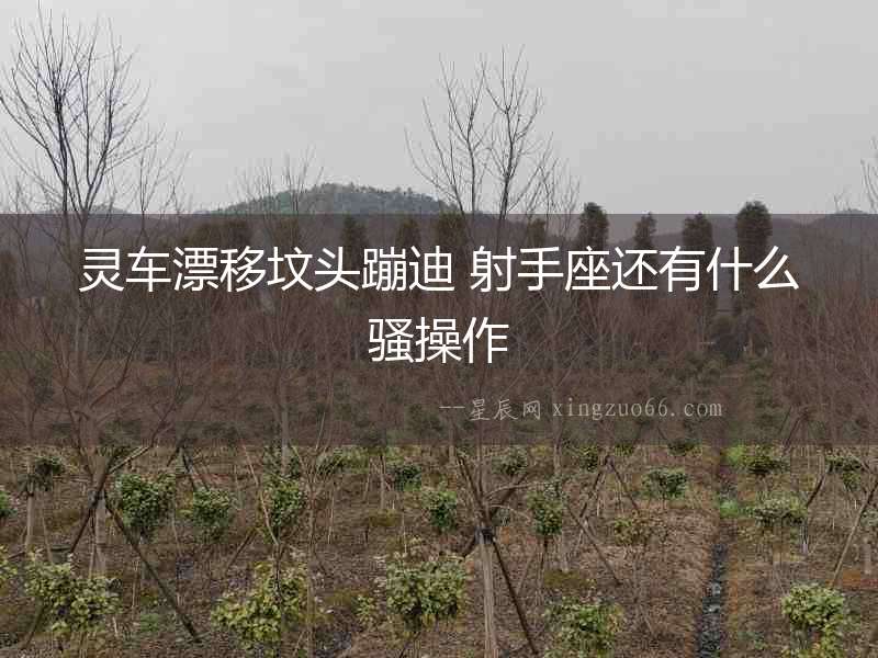 靈車漂移墳頭蹦迪 射手座還有什么騷操作