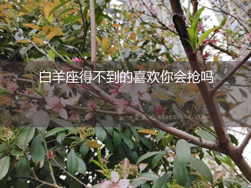 白羊座得不到的喜歡你會搶嗎