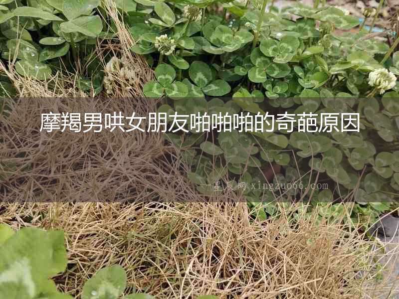 摩羯男哄女朋友啪啪啪的奇葩原因