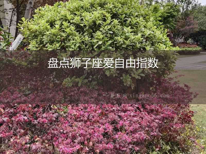 盤點(diǎn)獅子座愛自由指數(shù)