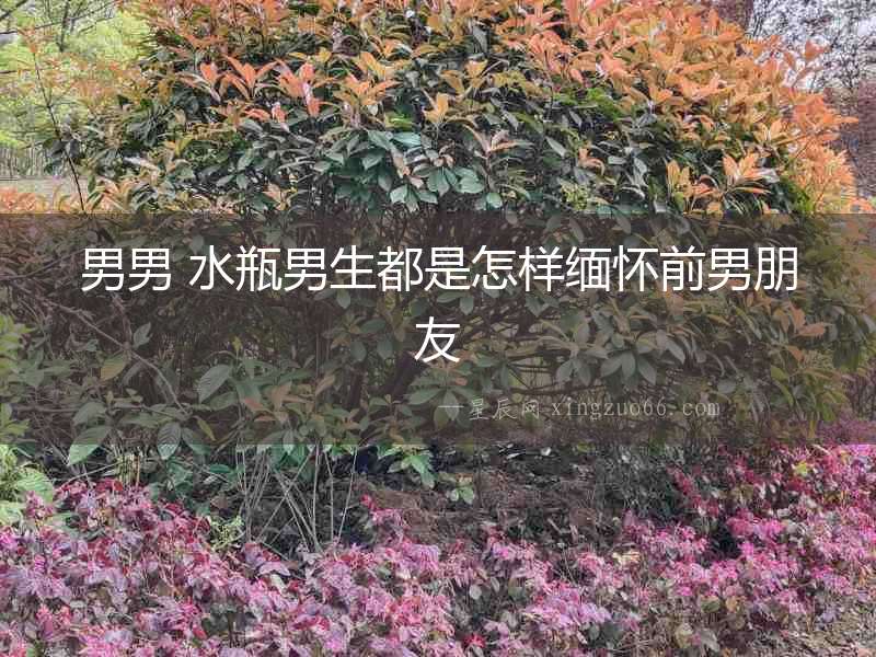 男男 水瓶男生都是怎樣緬懷前男朋友