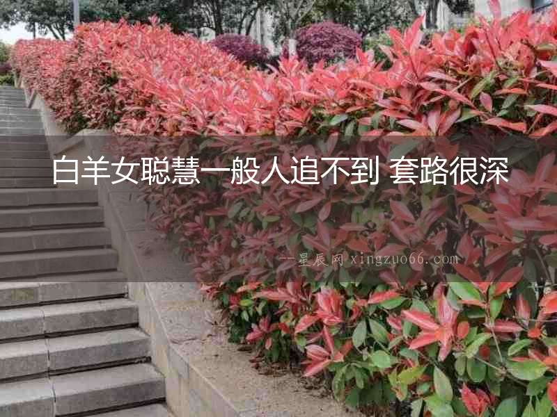 白羊女聰慧一般人追不到 套路很深