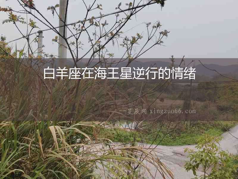 白羊座在海王星逆行的情緒