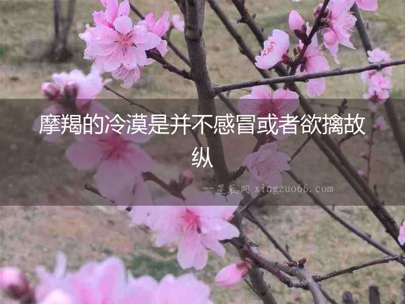 摩羯的冷漠是并不感冒或者欲擒故縱