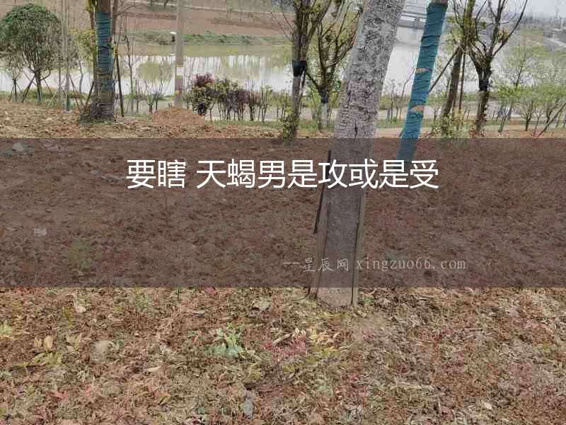 要瞎 天蝎男是攻或是受