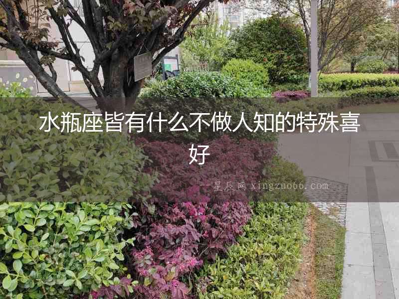 水瓶座皆有什么不做人知的特殊喜好