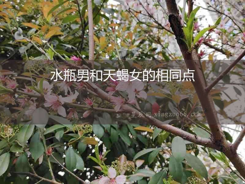 水瓶男和天蝎女的相同點