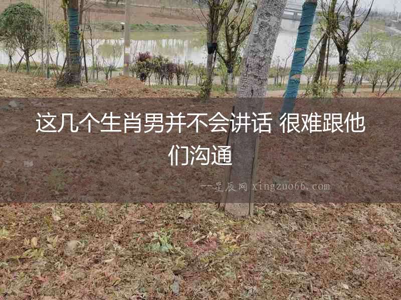 這幾個(gè)生肖男并不會(huì)講話 很難跟他們溝通
