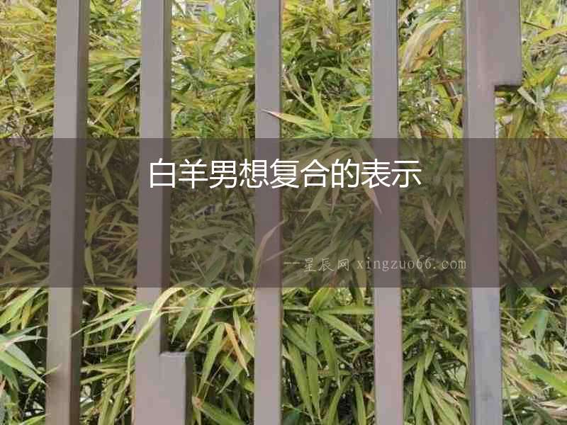 白羊男想復(fù)合的表示