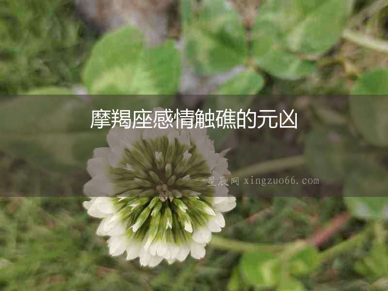 摩羯座感情觸礁的元兇
