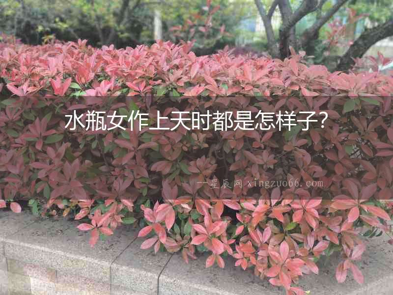 水瓶女作上天時都是怎樣子？