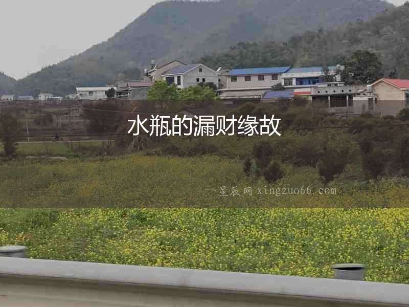 水瓶的漏財緣故