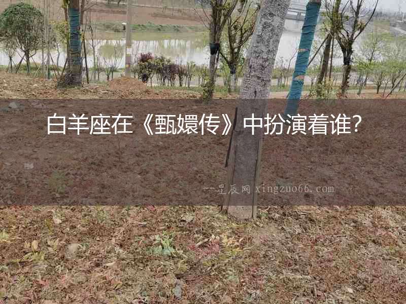 白羊座在《甄嬛傳》中扮演著誰？