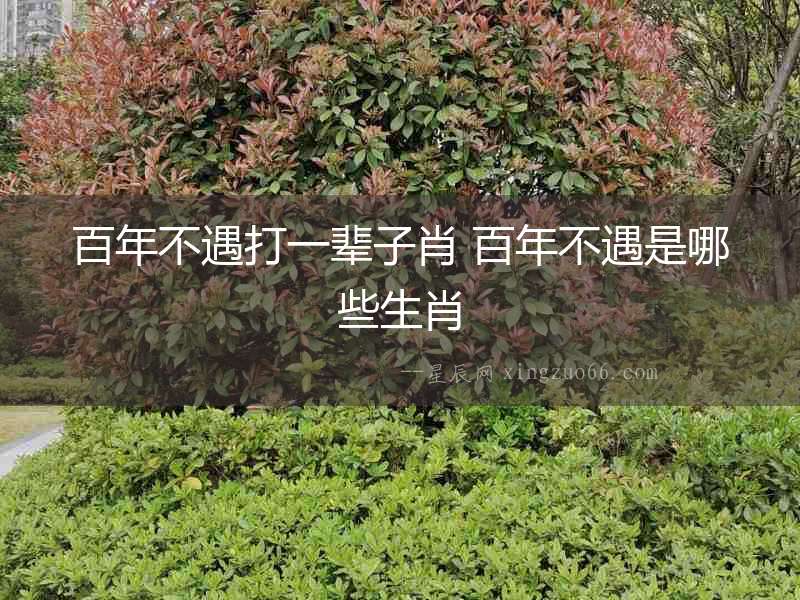 百年不遇打一輩子肖 百年不遇是哪些生肖
