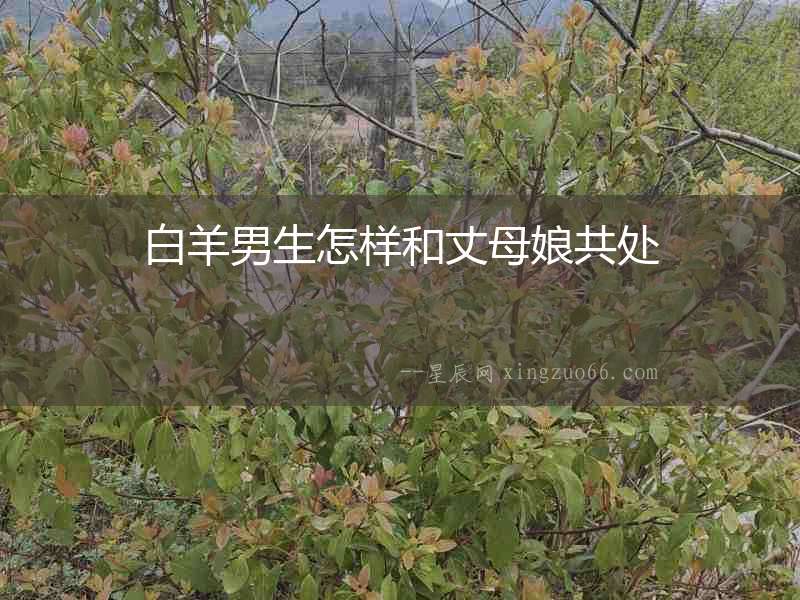白羊男生怎樣和丈母娘共處