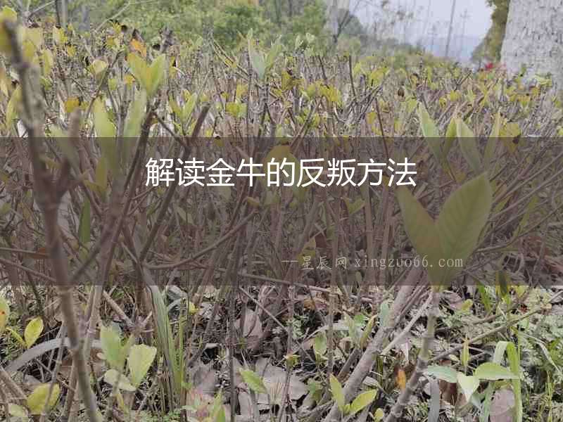 解讀金牛的反叛方法