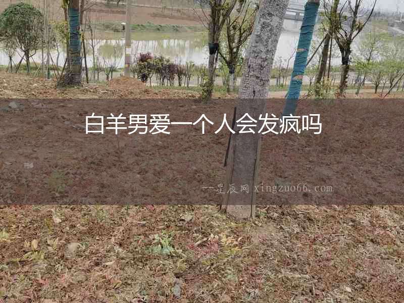 白羊男愛一個人會發瘋嗎