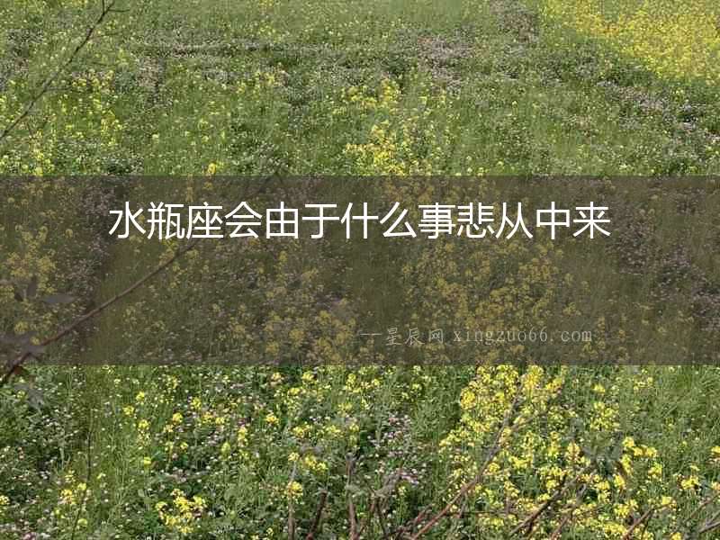 水瓶座會由于什么事悲從中來