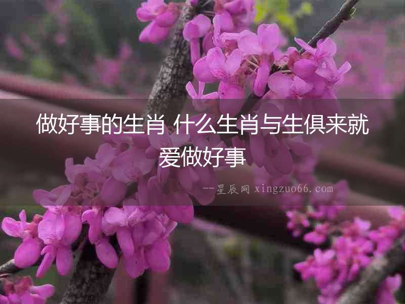 做好事的生肖 什么生肖與生俱來就愛做好事