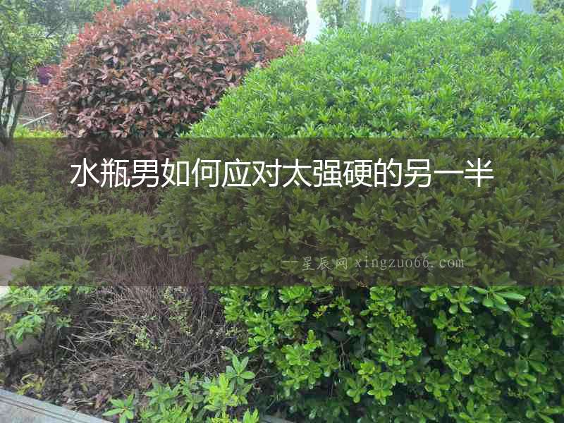 水瓶男如何應對太強硬的另一半
